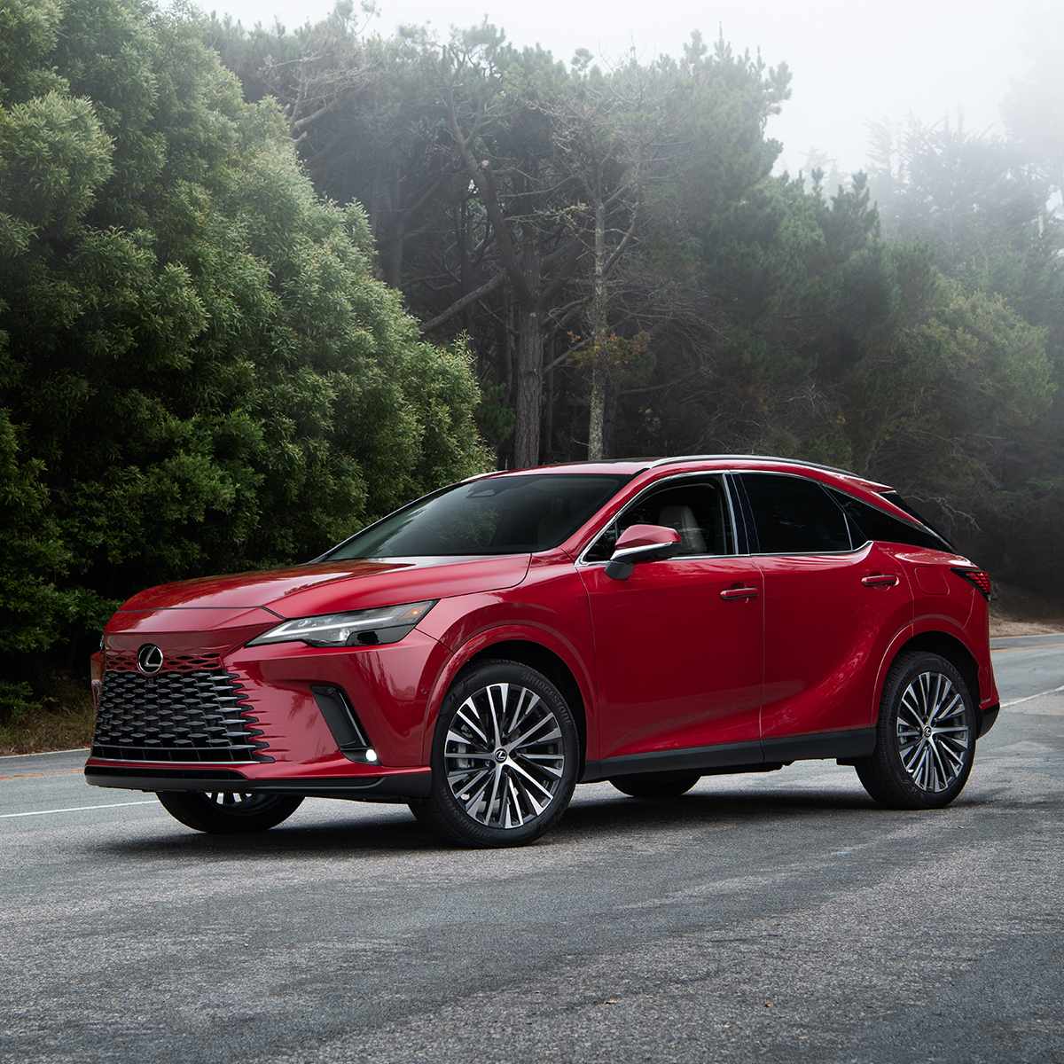 2022 LEXUS RX LUXURY AT [2017-2023]